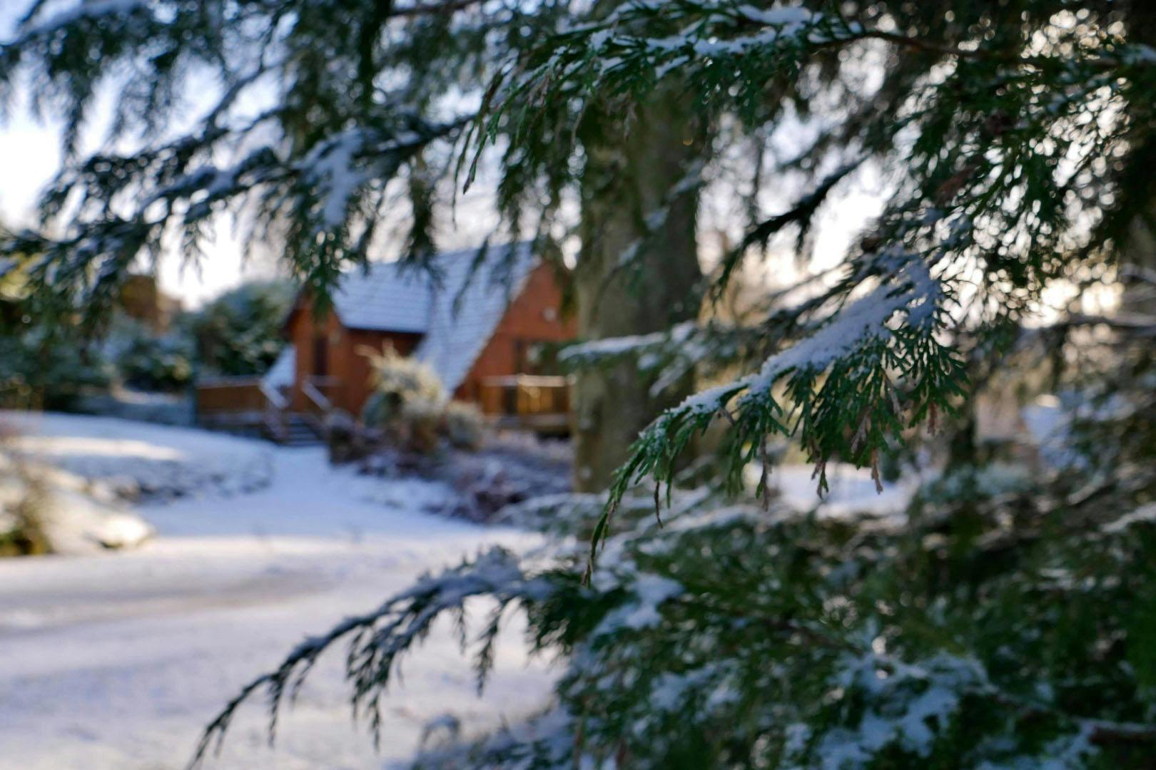 Ericht Holiday Lodges