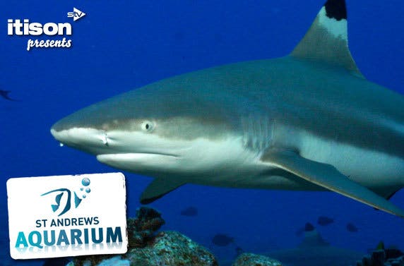 St Andrews Aquarium