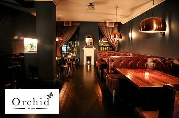 Orchid