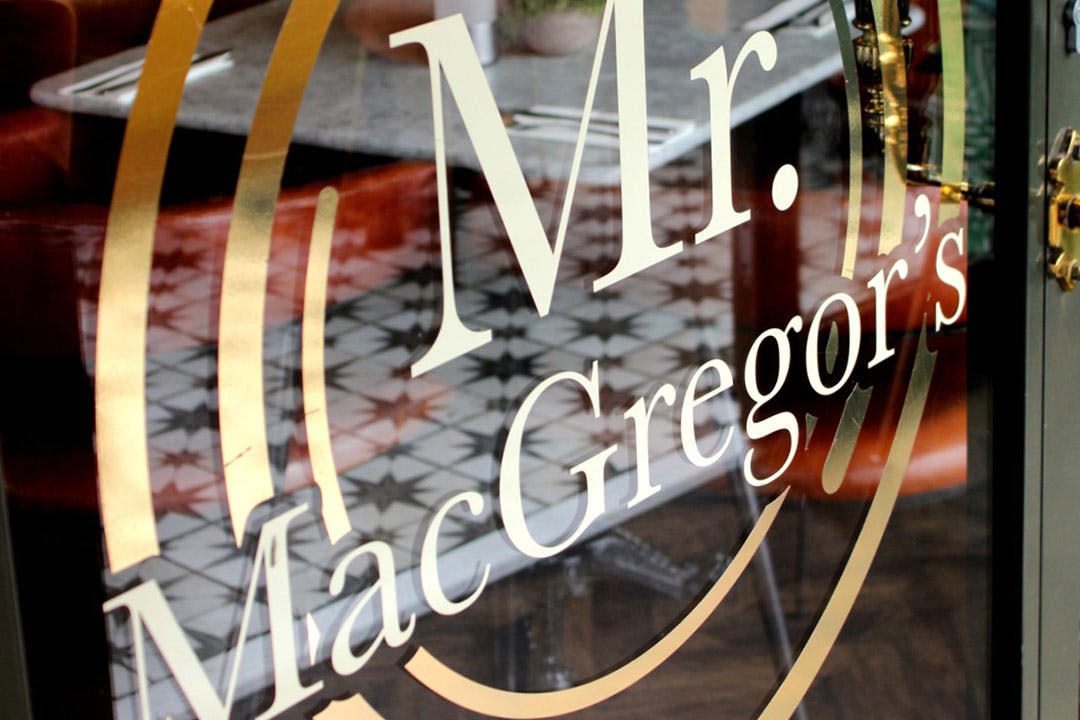 Mr MacGregor's