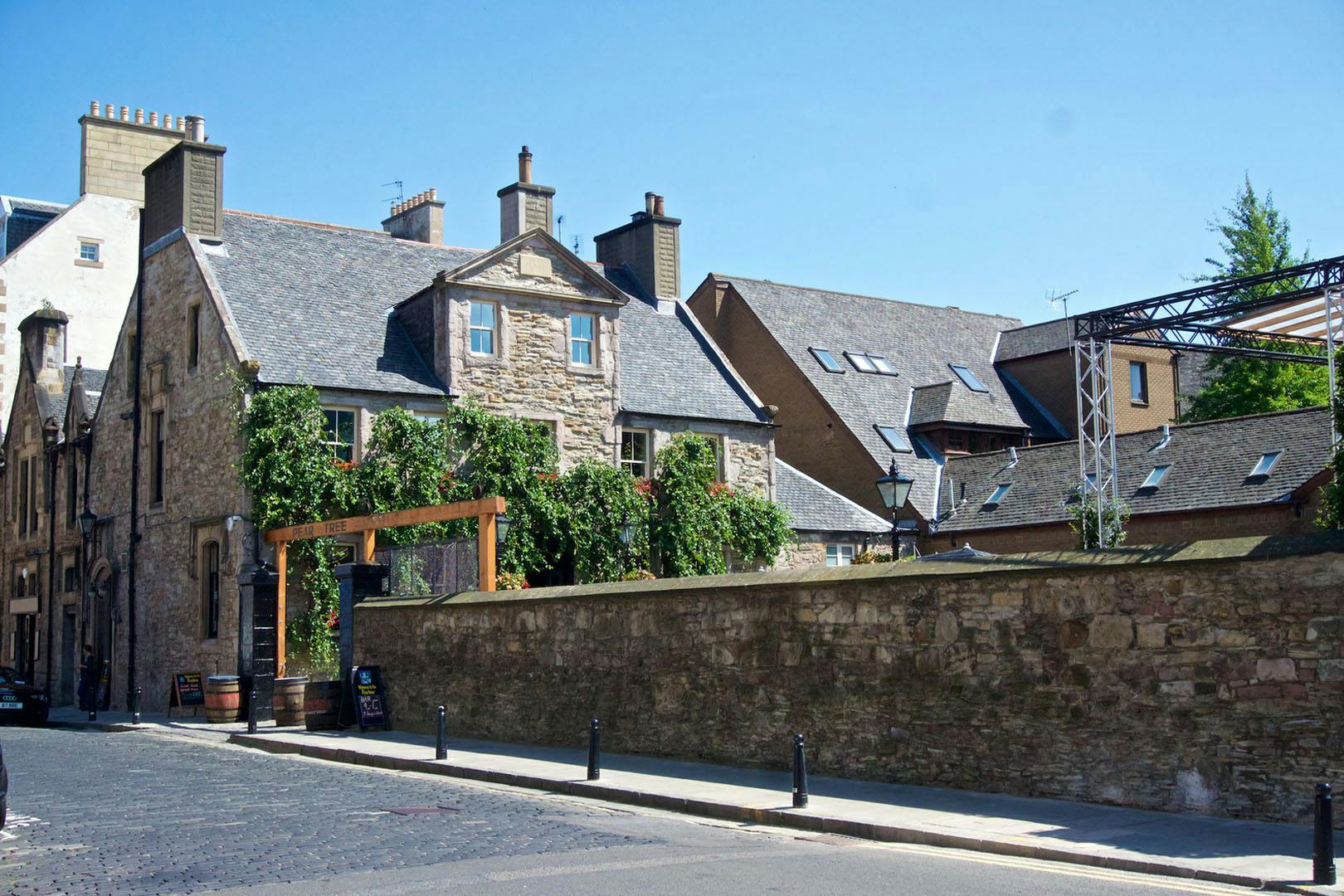 The Pear Tree