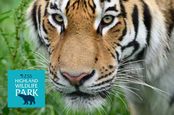 The Highland Wildlife Park