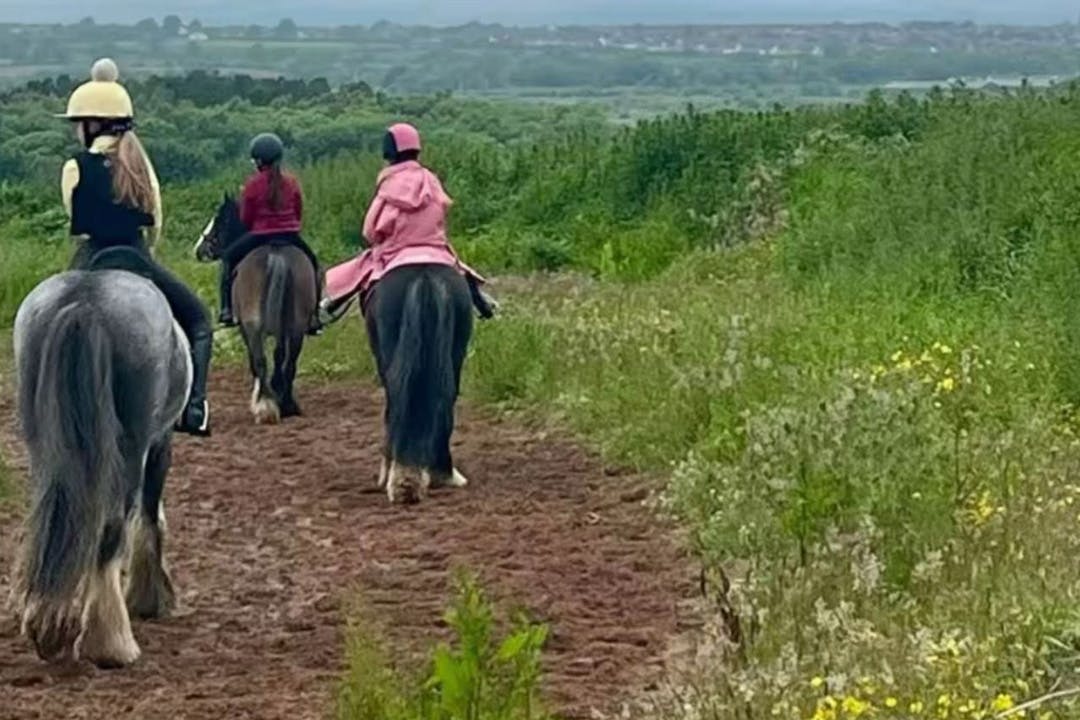 Scottish Equestrian Hotel