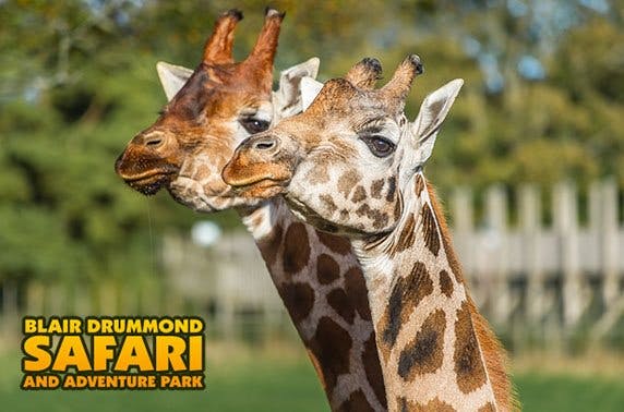 Blair Drummond Safari and Adventure Park 
