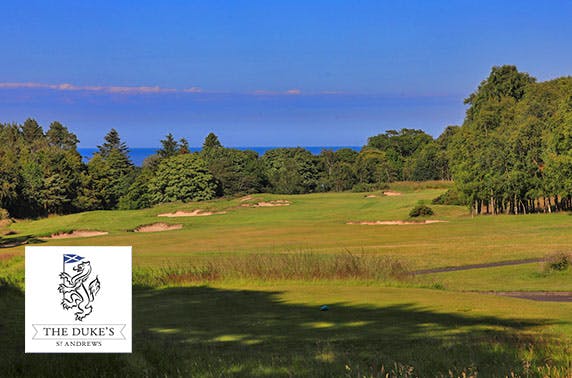 The Duke's St Andrews