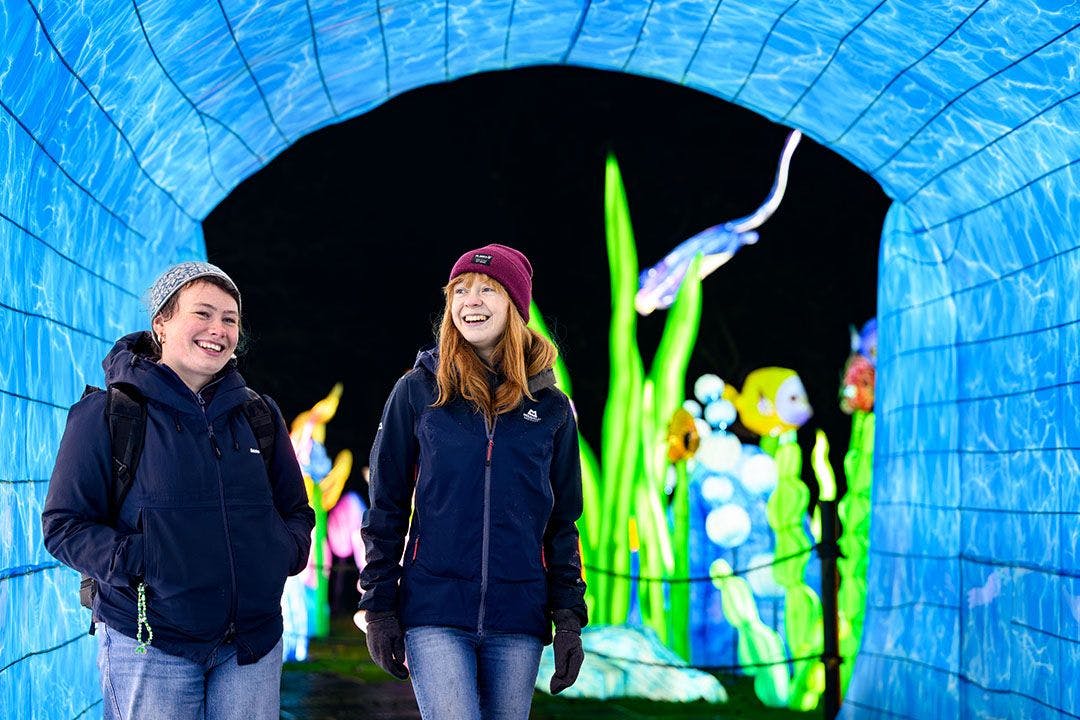 Edinburgh Zoo's Giant Lanterns