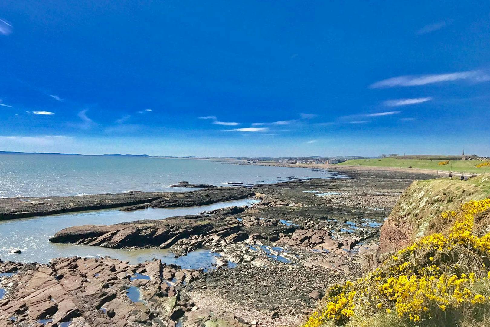 Seaton Estate Holiday Village