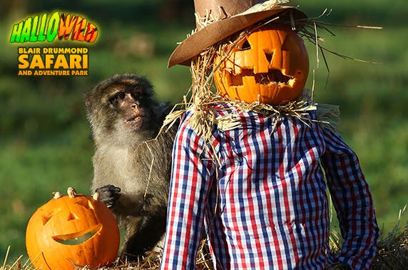 Blair Drummond Safari Park