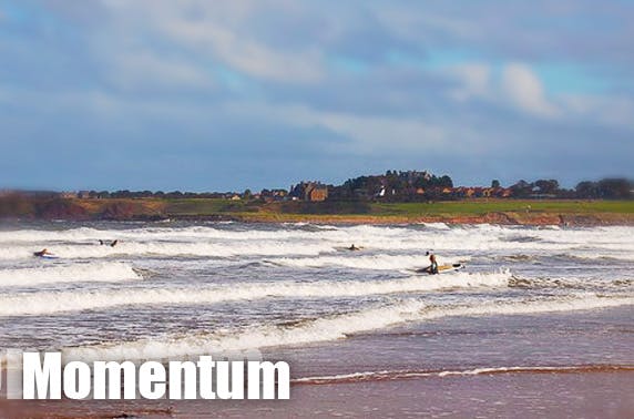 Momentum Surf