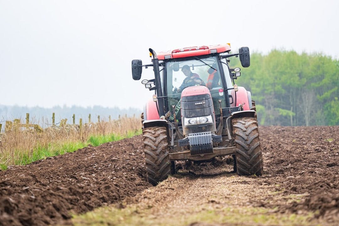 Newton Farm Holidays