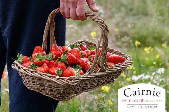 Cairnie Fruit Farm