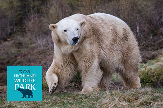 The Highland Wildlife Park