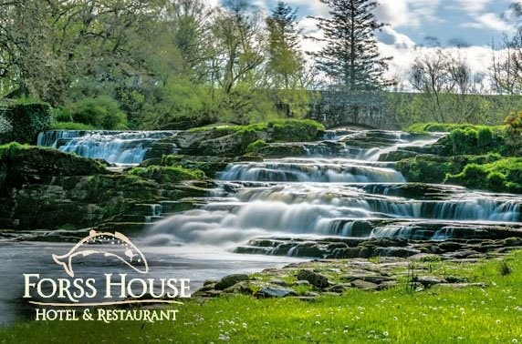 Forss House Hotel