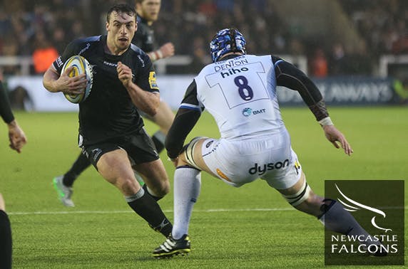 Newcastle Falcons