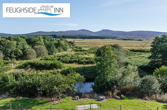Feughside Inn