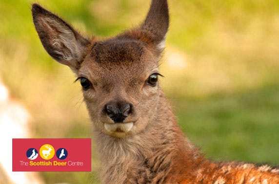 The Scottish Deer Centre