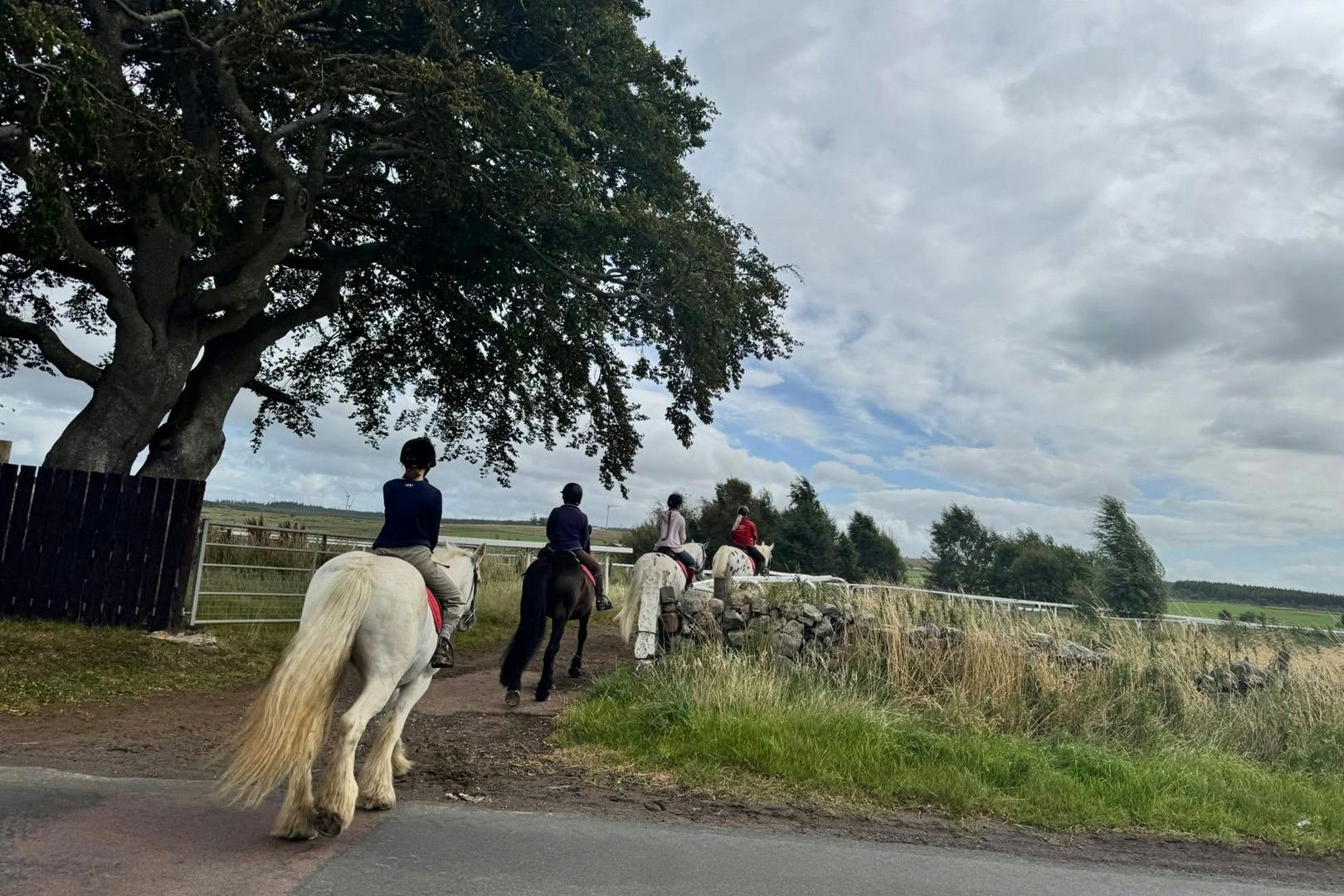 Scottish Equestrian Hotel