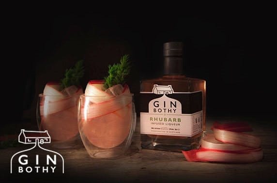 The Gin Bothy Experience